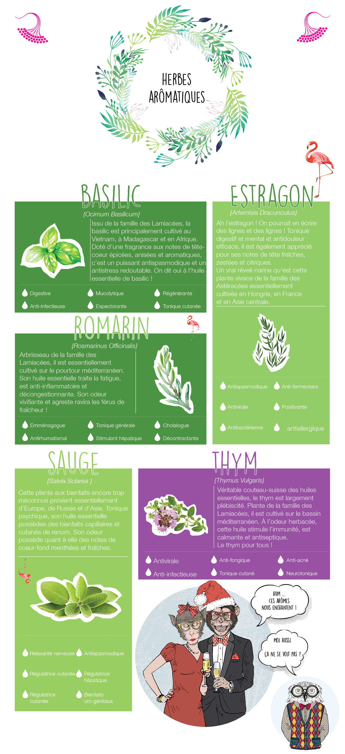 herbier aromatique - notes aromatiques