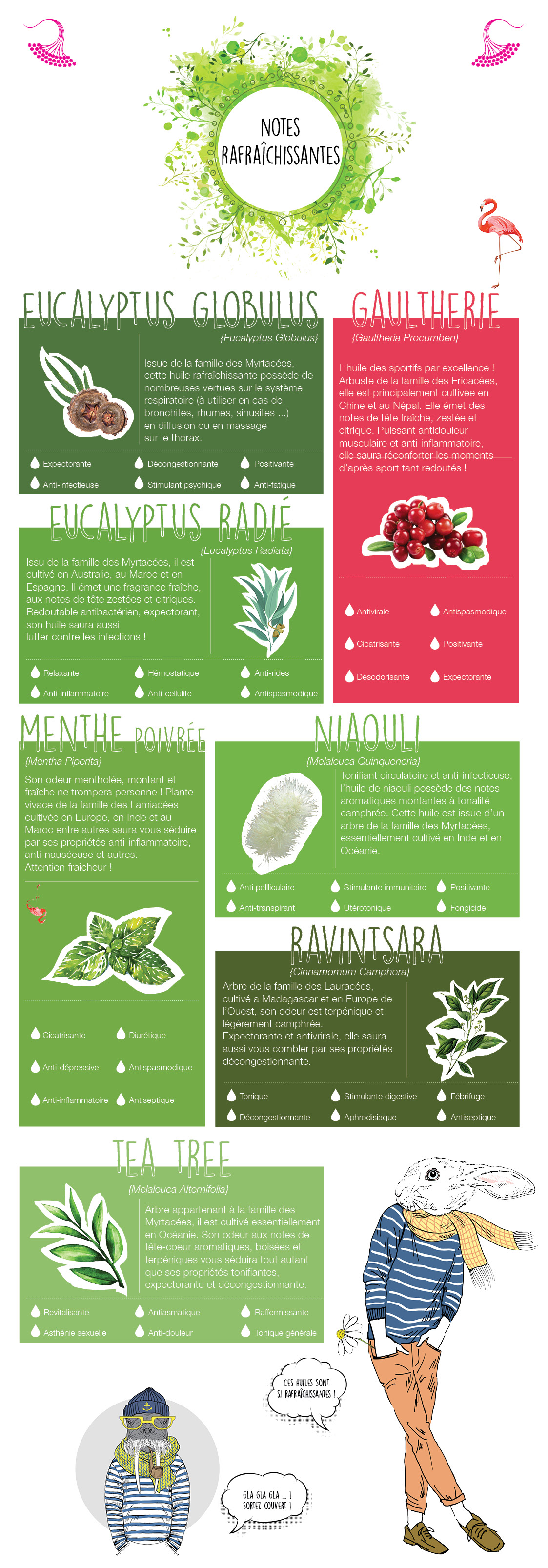 herbier aromatique - notes rafraîchissantes