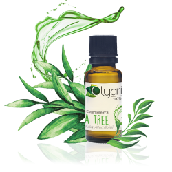 Huile Essentielle N°3 de Tea Tree