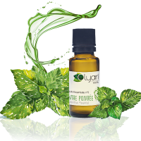 Huile Essentielle N°5 de Menthe Poivrée
