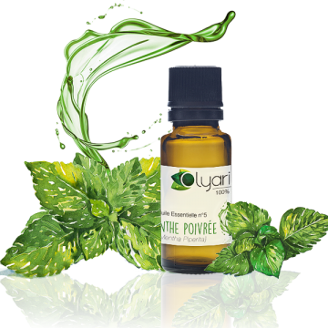 Huile Essentielle N°5 de Menthe Poivrée Huile Essentielle N°5 de Menthe Poivrée