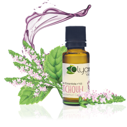 HUILE ESSENTIELLE N°43 de PATCHOULI