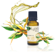 HUILE ESSENTIELLE N°15 d'YLANG YLANG COMPLÈTE Olyaris