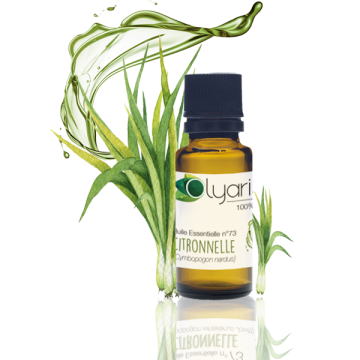 Huile Essentielle n°73 de Citronnelle