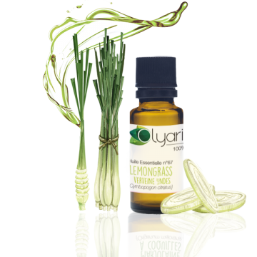 Huile Essentielle n°67 de Lemongrass - Verveine des Indes