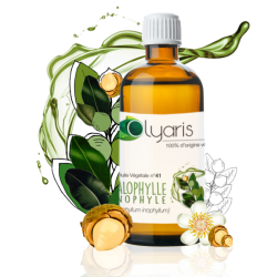 HUILE VEGETALE N°41 de CALOPHYLLE INOPHYLE