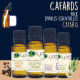 Cafards : Le Pack d'Huiles Essentielles Cafaris par Olyaris