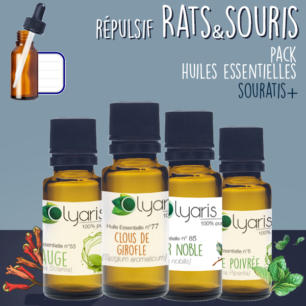 Crème anti-souris avec huile de menthe poivrée Répulsifs pour rats