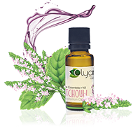 Huile Essentielle de Patchouli