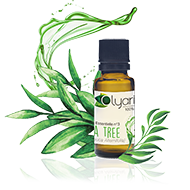 Huile Essentielle de Tea Tree