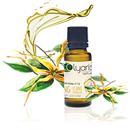 Huile Essentielle d'Ylang Ylang Complète