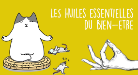 Bien-Etre : les Huiles Essentielles